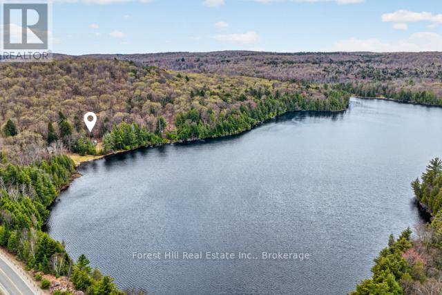 4698 Muskoka Rd 117 Highway, Lake Of Bays, Ontario  P0B 1A0 - Photo 2 - X13108074