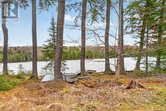 4698 Muskoka Rd 117 Highway, Lake Of Bays, Ontario  P0B 1A0 - Photo 30 - X13108074
