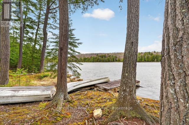 4698 Muskoka Rd 117 Highway, Lake Of Bays, Ontario  P0B 1A0 - Photo 32 - X13108074