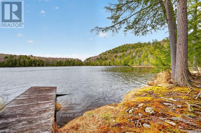 4698 Muskoka Rd 117 Highway, Lake Of Bays, Ontario  P0B 1A0 - Photo 34 - X13108074