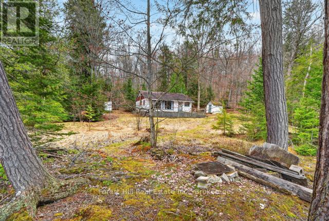 4698 Muskoka Rd 117 Highway, Lake Of Bays, Ontario  P0B 1A0 - Photo 36 - X13108074