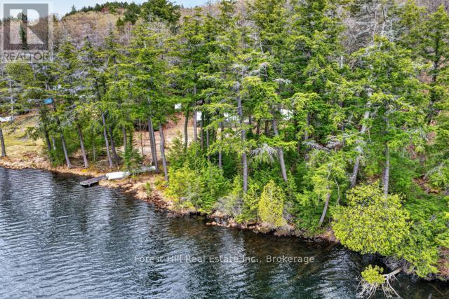 4698 Muskoka Rd 117 Highway, Lake Of Bays, Ontario  P0B 1A0 - Photo 40 - X13108074