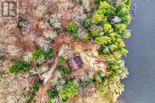 4698 Muskoka Rd 117 Highway, Lake Of Bays, Ontario  P0B 1A0 - Photo 44 - X13108074
