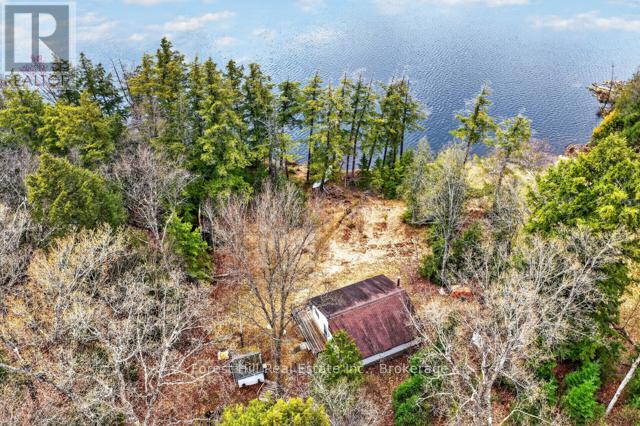4698 Muskoka Rd 117 Highway, Lake Of Bays, Ontario  P0B 1A0 - Photo 45 - X13108074