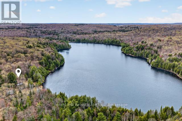 4698 Muskoka Rd 117 Highway, Lake Of Bays, Ontario  P0B 1A0 - Photo 47 - X13108074