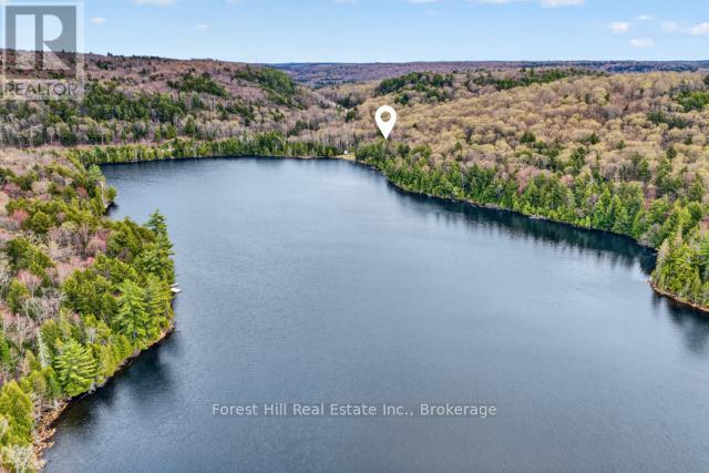 4698 Muskoka Rd 117 Highway, Lake Of Bays, Ontario  P0B 1A0 - Photo 48 - X13108074