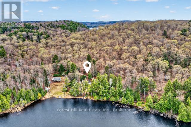 4698 Muskoka Rd 117 Highway, Lake Of Bays, Ontario  P0B 1A0 - Photo 50 - X13108074