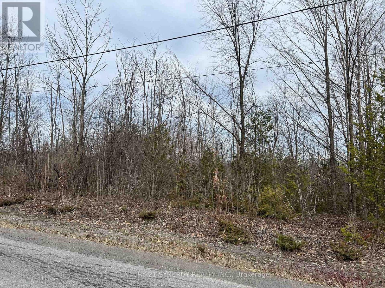 Lot #1 - 000 Armstrong Road, Drummond/north Elmsley, Ontario  K7A 4S4 - Photo 3 - X12545610
