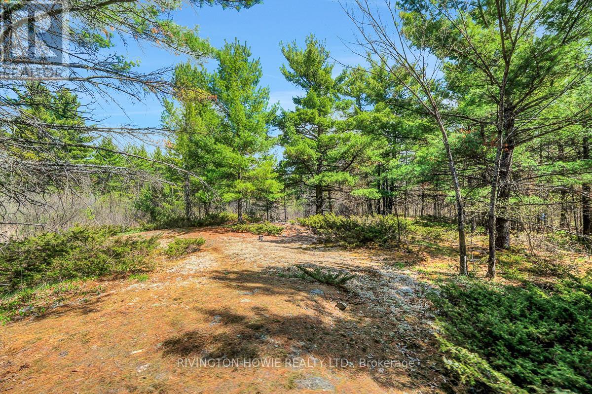 104 Tall Forest Drive, Ottawa, Ontario  K0A 1L0 - Photo 42 - X13108100