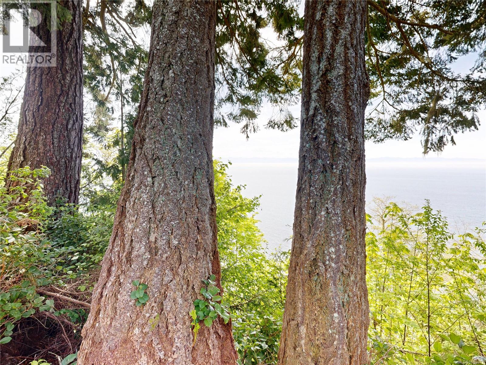 Proposed Lot 2/9333 Invermuir Rd, Sooke, British Columbia  V9Z 1G3 - Photo 46 - 1036073