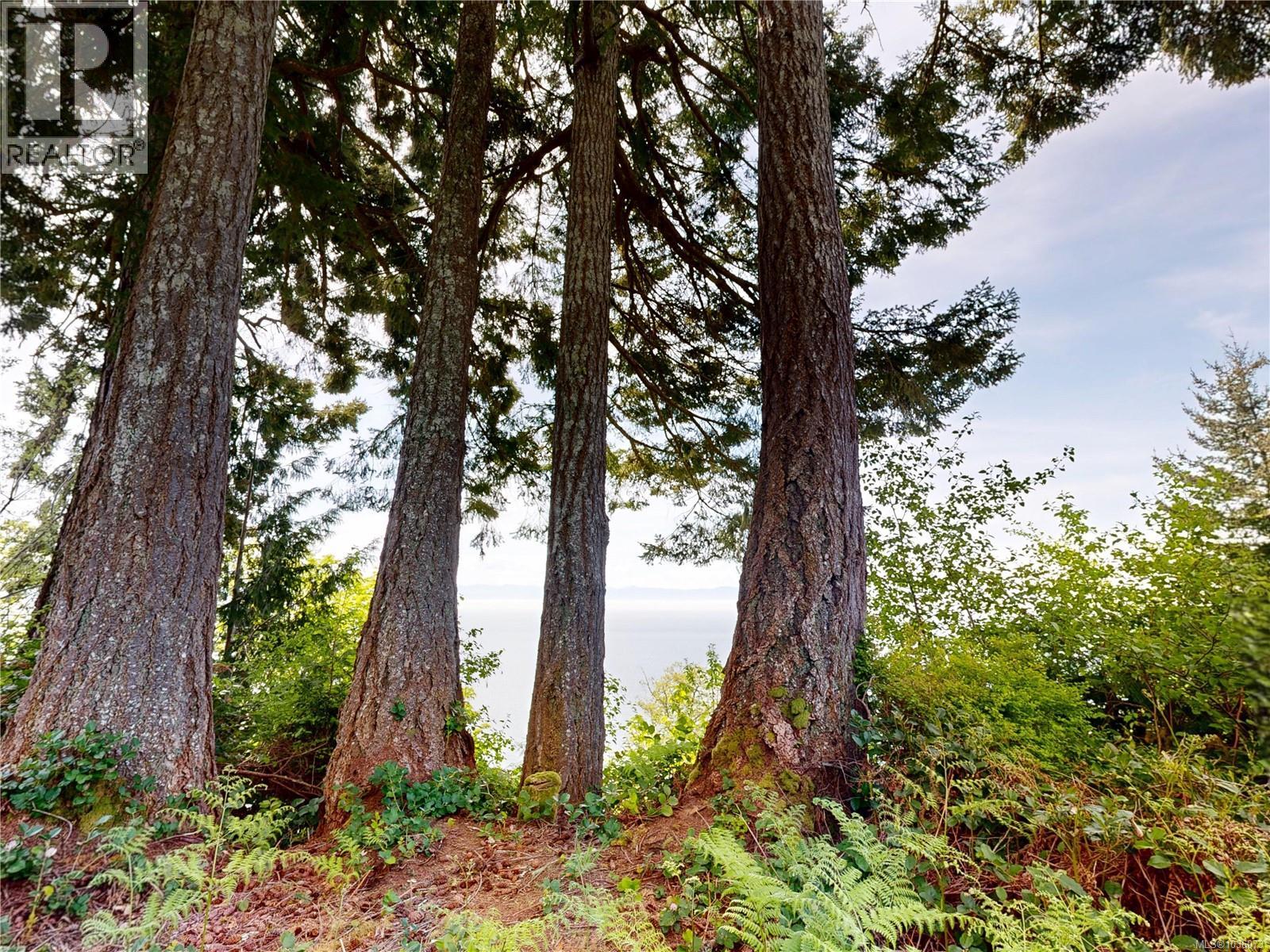 Proposed Lot 2/9333 Invermuir Rd, Sooke, British Columbia  V9Z 1G3 - Photo 47 - 1036073