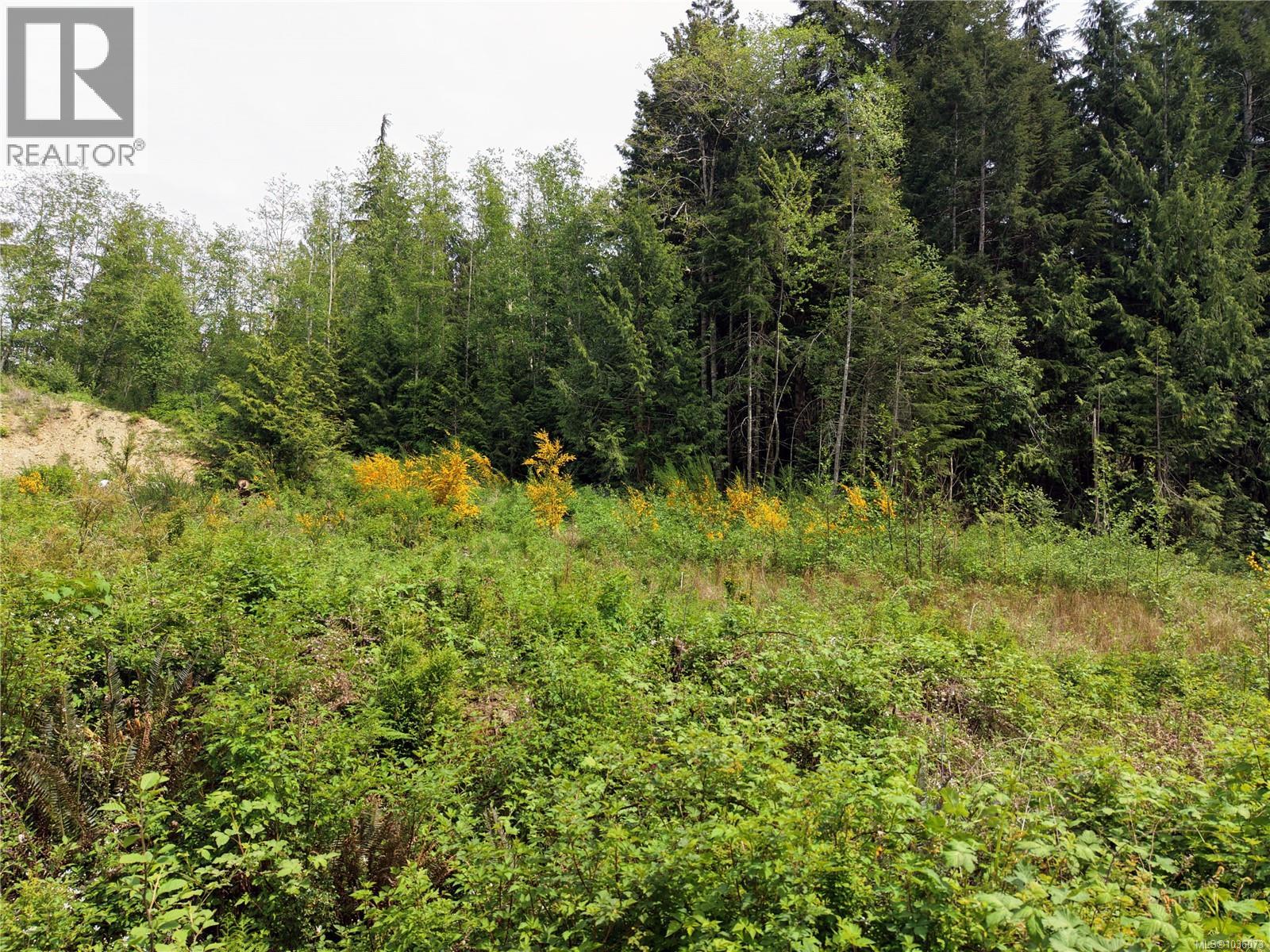 Proposed Lot 2/9333 Invermuir Rd, Sooke, British Columbia  V9Z 1G3 - Photo 56 - 1036073