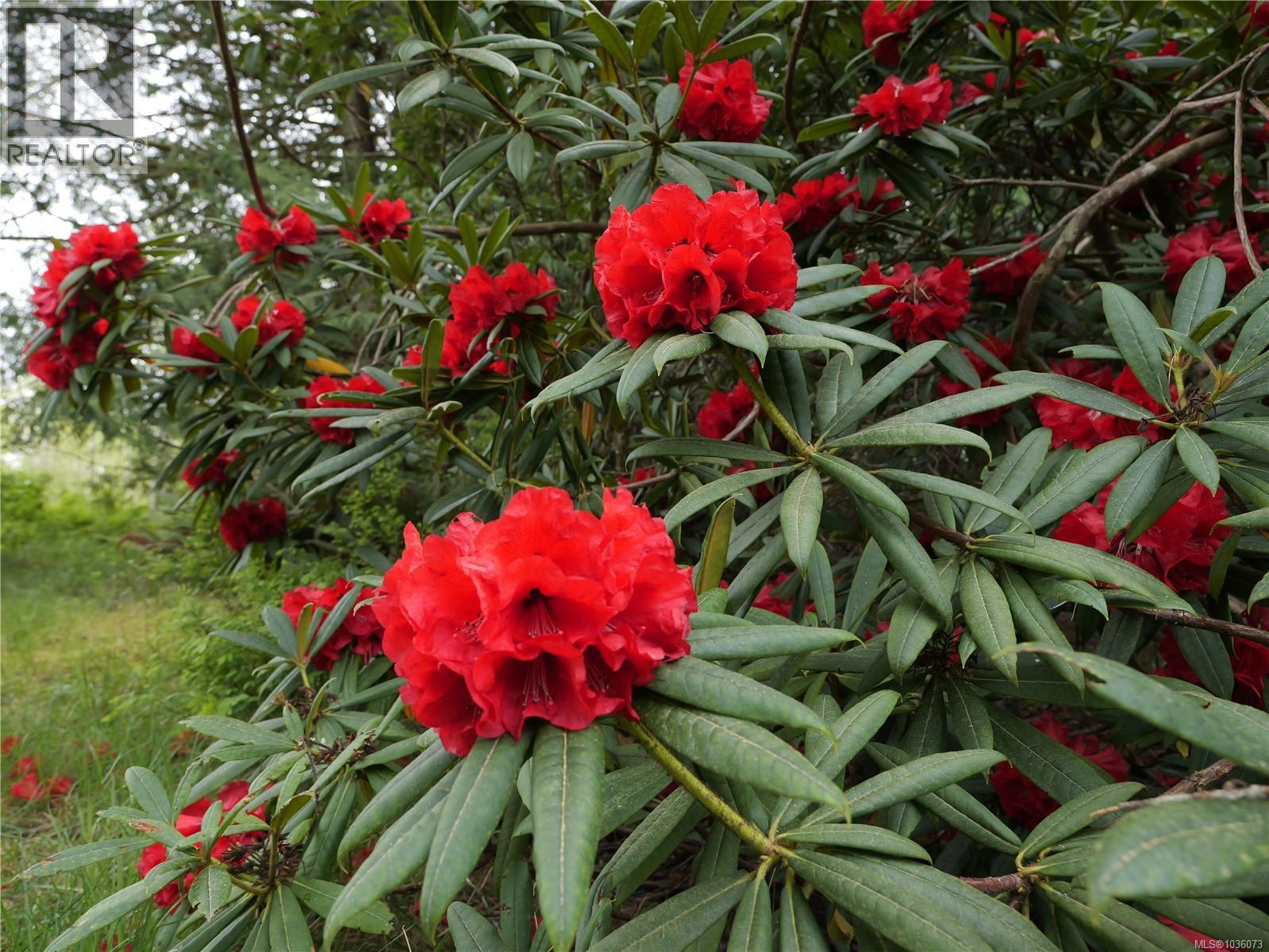 Proposed Lot 2/9333 Invermuir Rd, Sooke, British Columbia  V9Z 1G3 - Photo 6 - 1036073