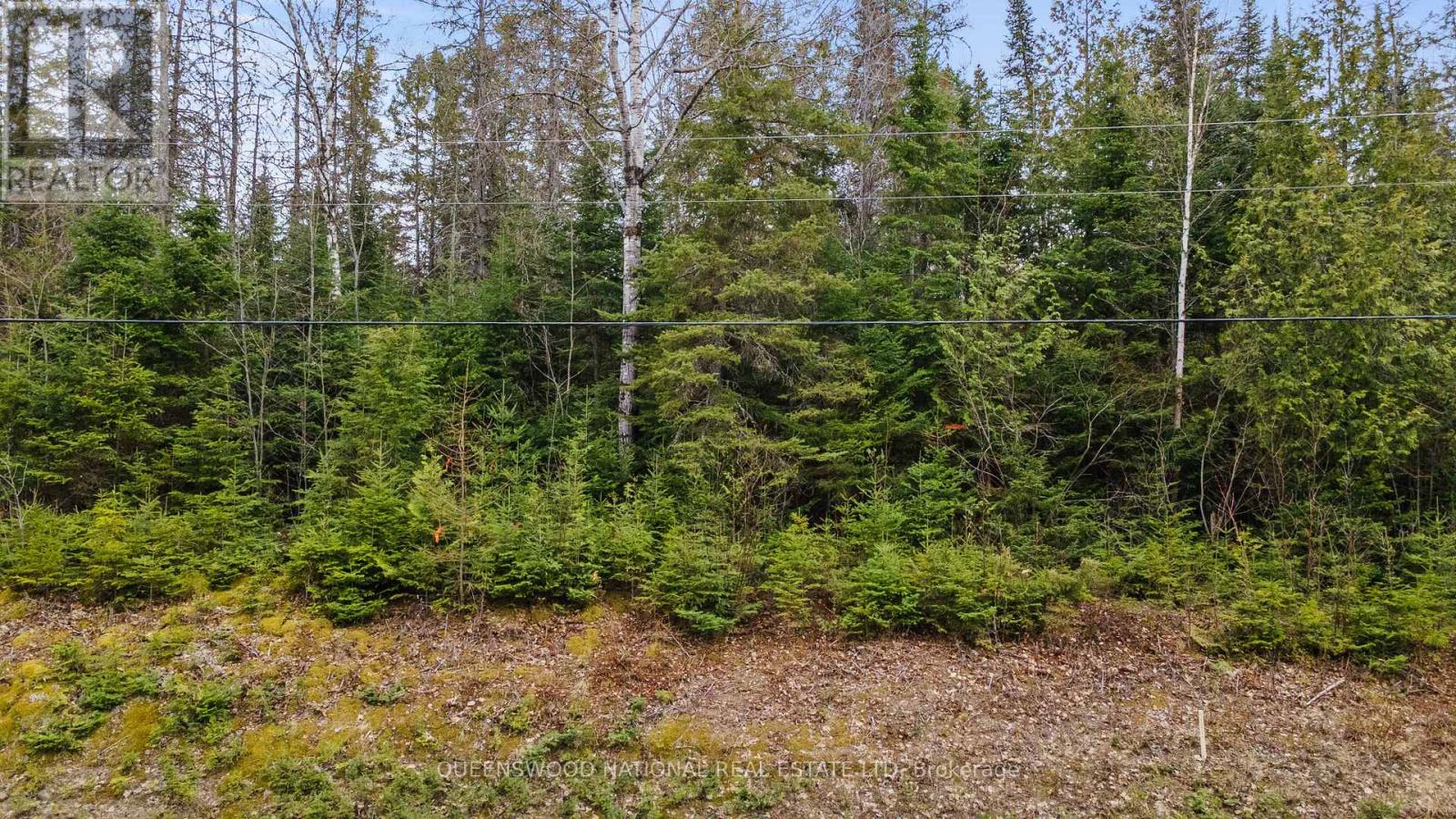 0 Siberia Road, Madawaska Valley, Ontario  K0J 1B0 - Photo 5 - X13108400