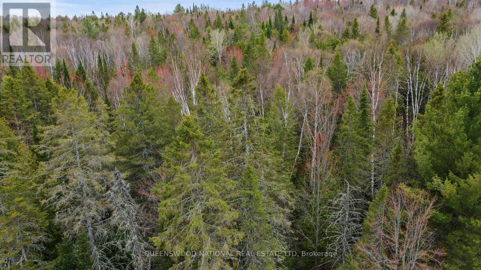 0 Siberia Road, Madawaska Valley, Ontario  K0J 1B0 - Photo 6 - X13108400