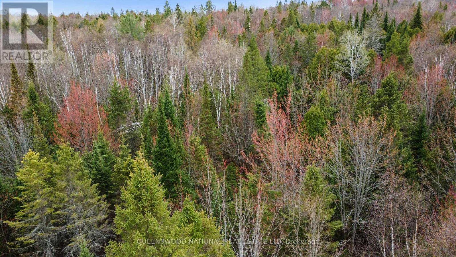 0 Siberia Road, Madawaska Valley, Ontario  K0J 1B0 - Photo 7 - X13108400