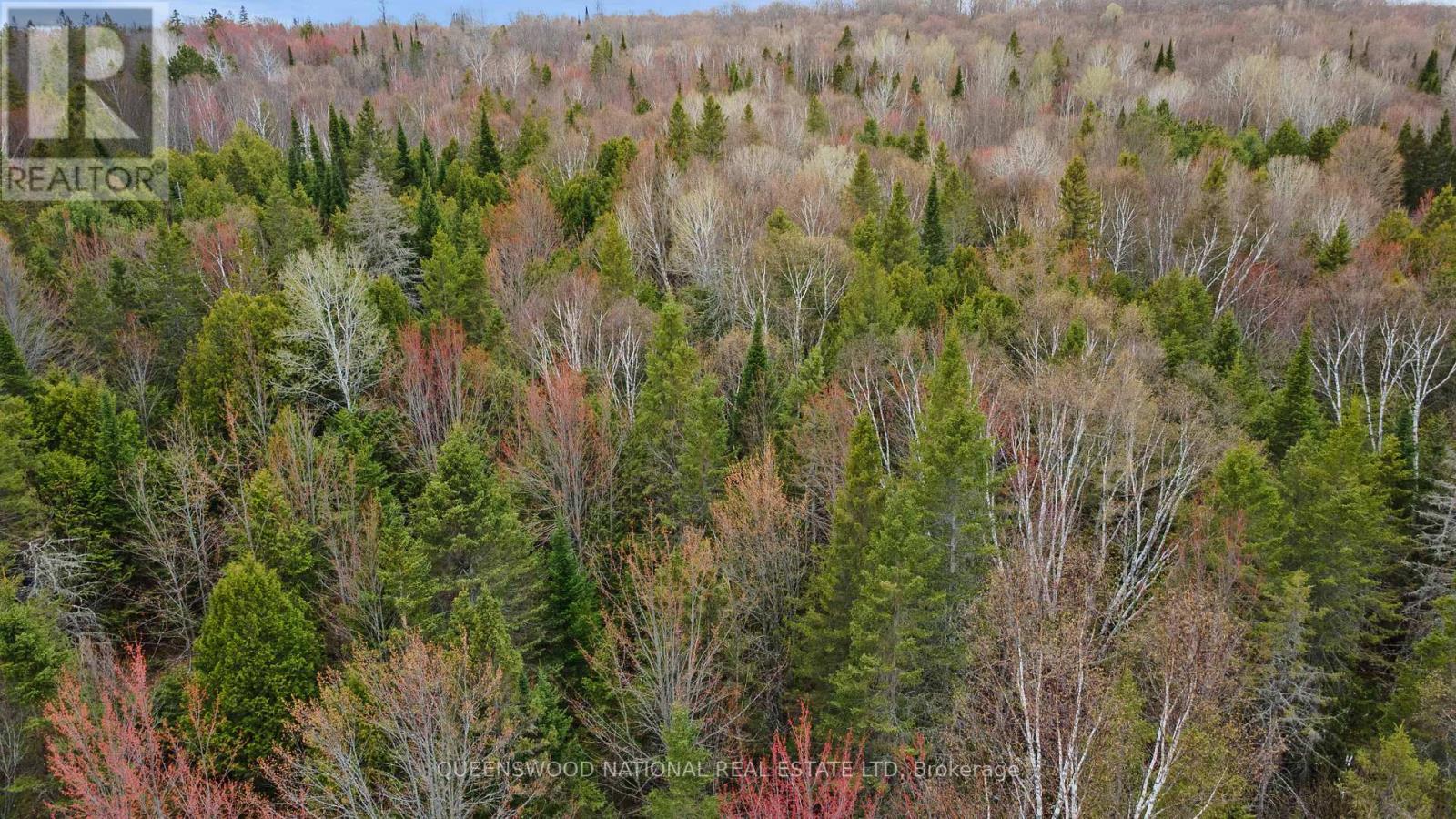 0 Siberia Road, Madawaska Valley, Ontario  K0J 1B0 - Photo 8 - X13108400