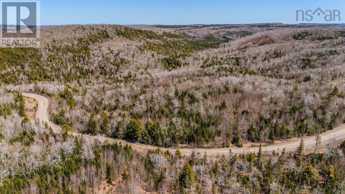 Lots Rossfield Road, Kenzieville, Nova Scotia  B0K 1A0 - Photo 7 - 202609687