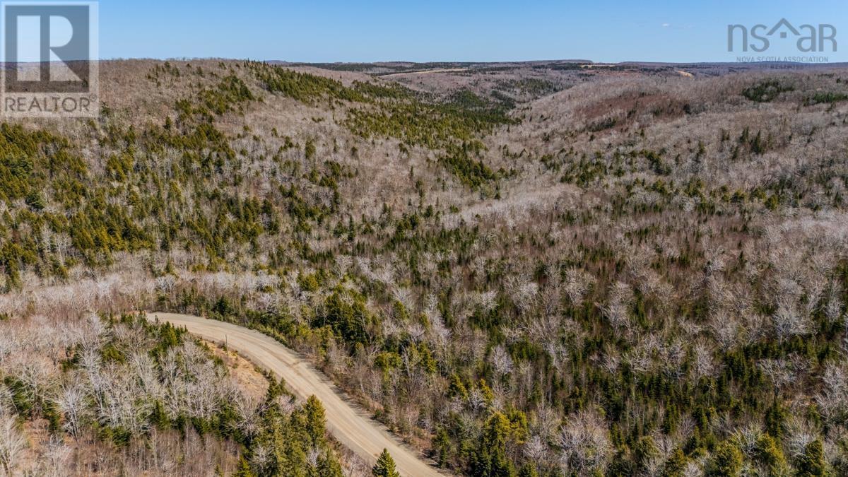 Lots Rossfield Road, Kenzieville, Nova Scotia  B0K 1A0 - Photo 8 - 202609687