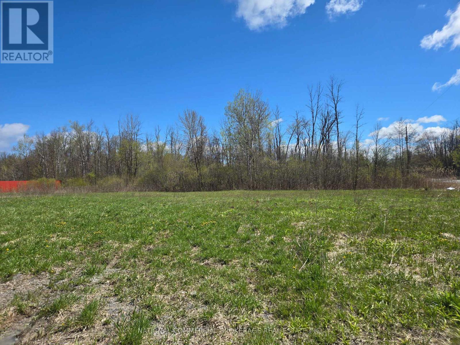 9152 Old Homestead Road, Georgina, Ontario  L4P 4E9 - Photo 4 - N12770194