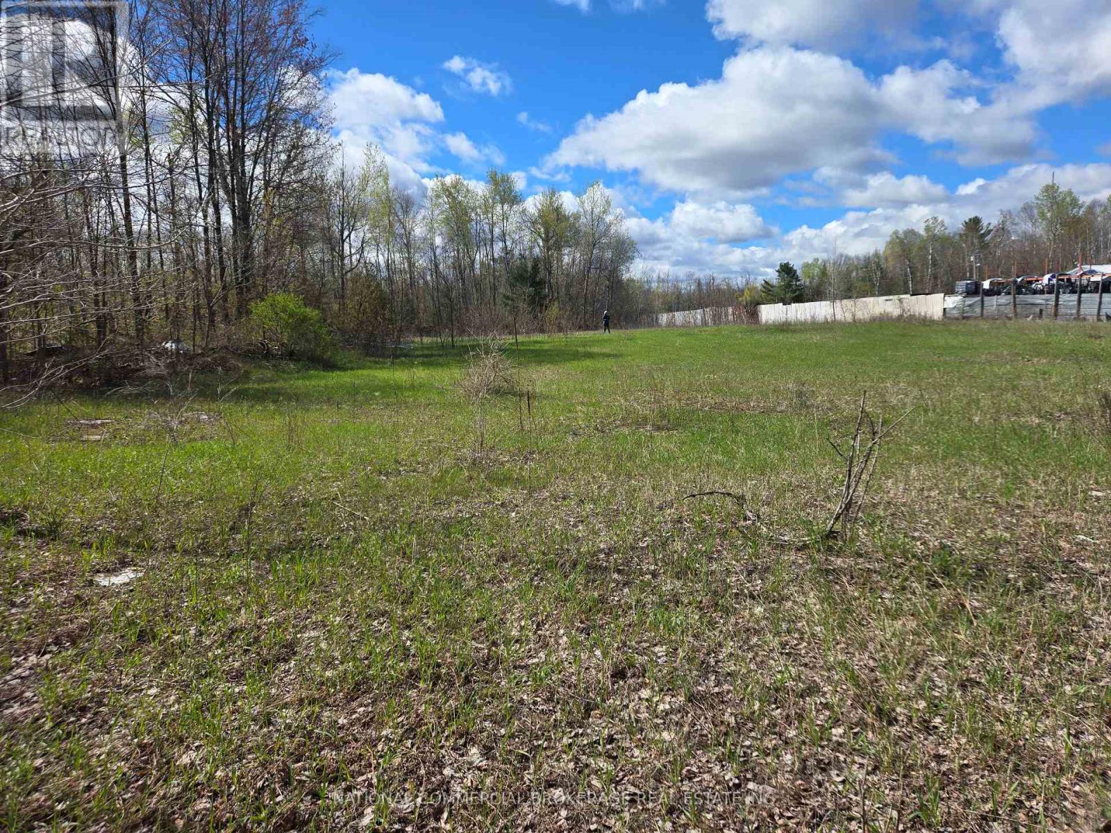 9152 Old Homestead Road, Georgina, Ontario  L4P 4E9 - Photo 6 - N12770194