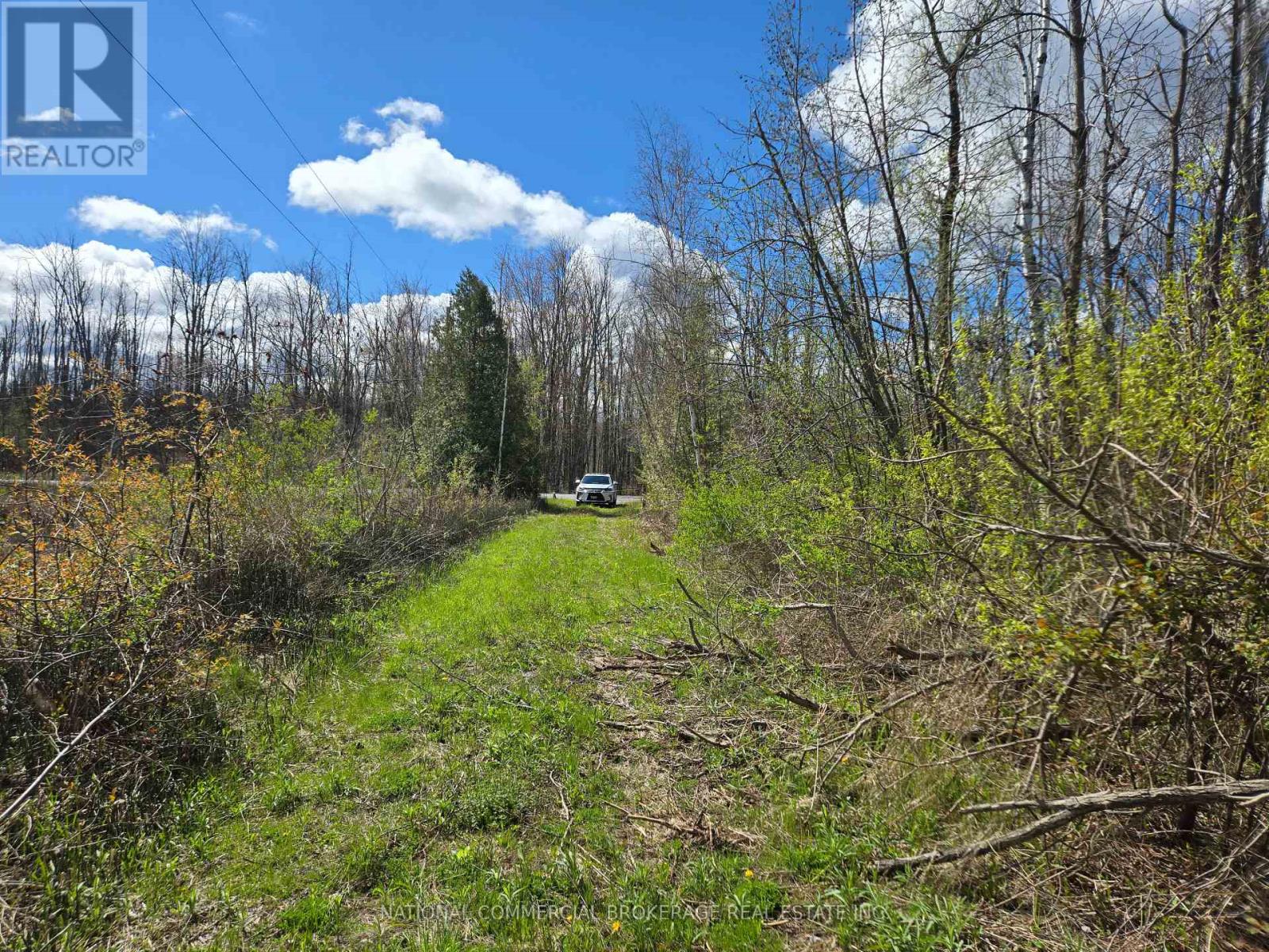9152 Old Homestead Road, Georgina, Ontario  L4P 4E9 - Photo 8 - N12770194