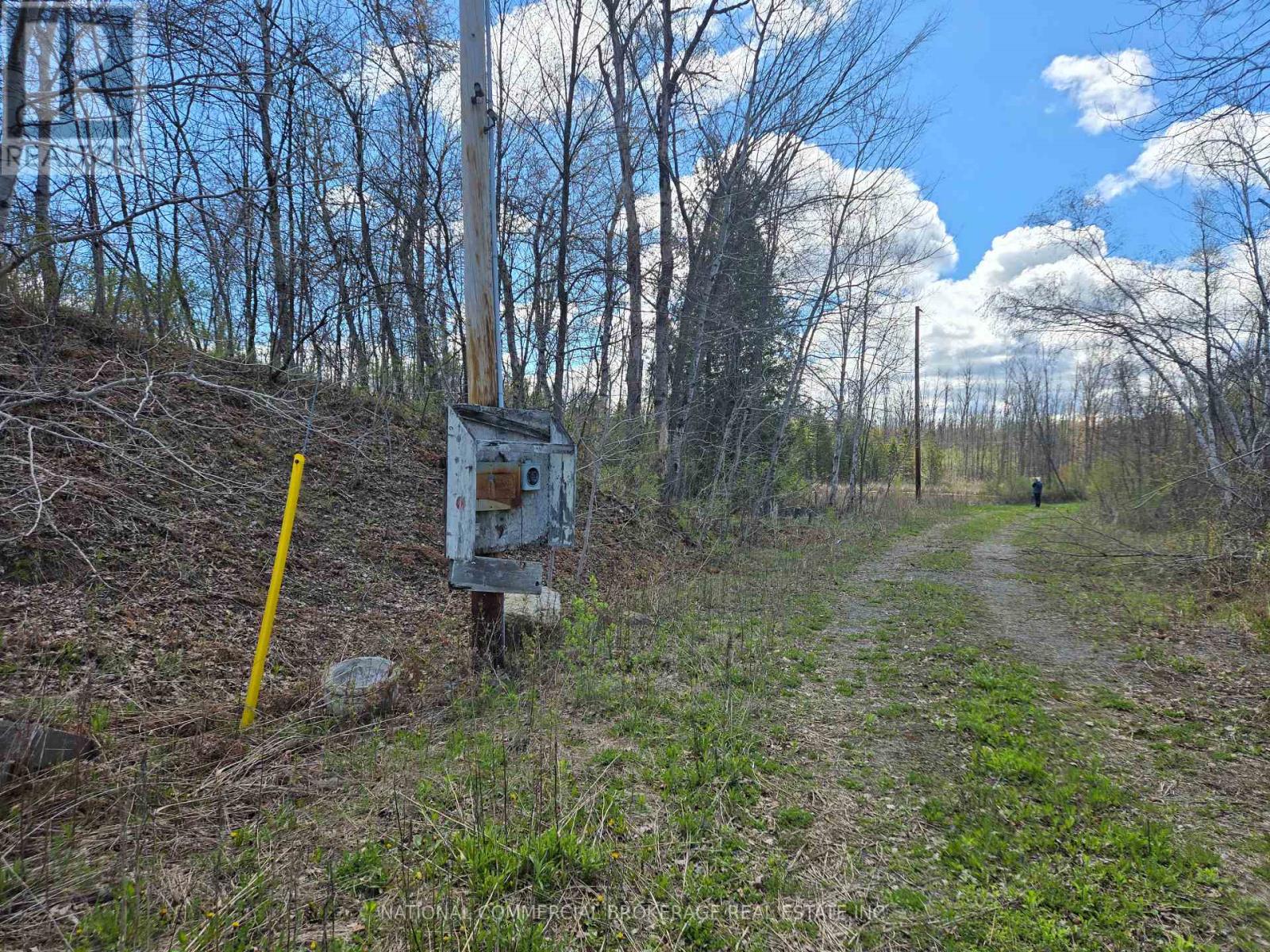 9152 Old Homestead Road, Georgina, Ontario  L4P 4E9 - Photo 5 - N12770194