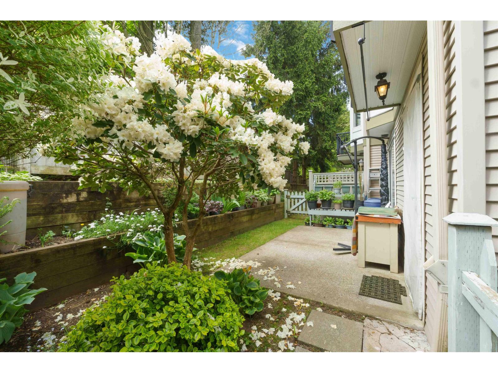 20 9559 130a Street, Surrey, British Columbia  V3V 5N9 - Photo 5 - R3121314