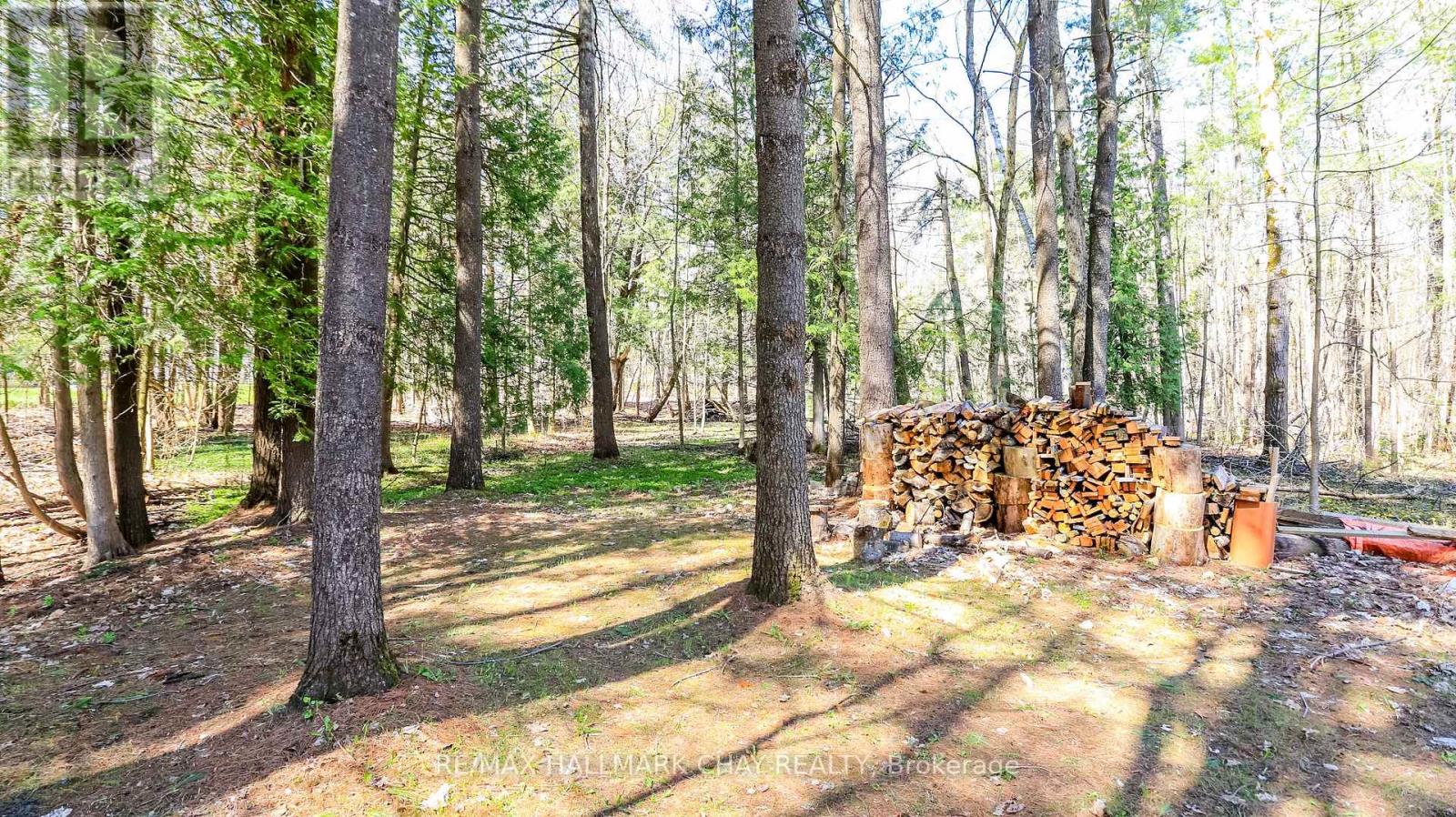 4062 Wainman Line, Severn, Ontario  L3V 6H2 - Photo 40 - S13108742