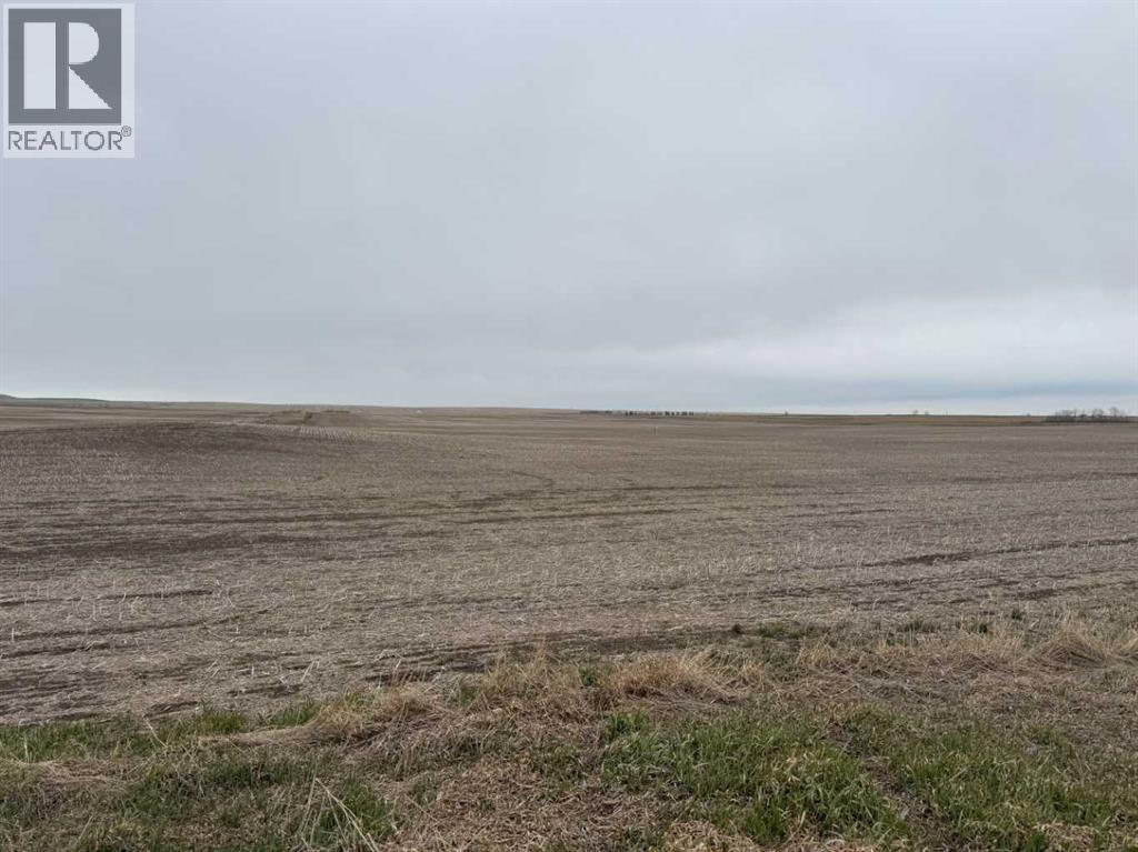 Township Road 194, Rural Vulcan County, Alberta  T0L 0J0 - Photo 9 - A2308257