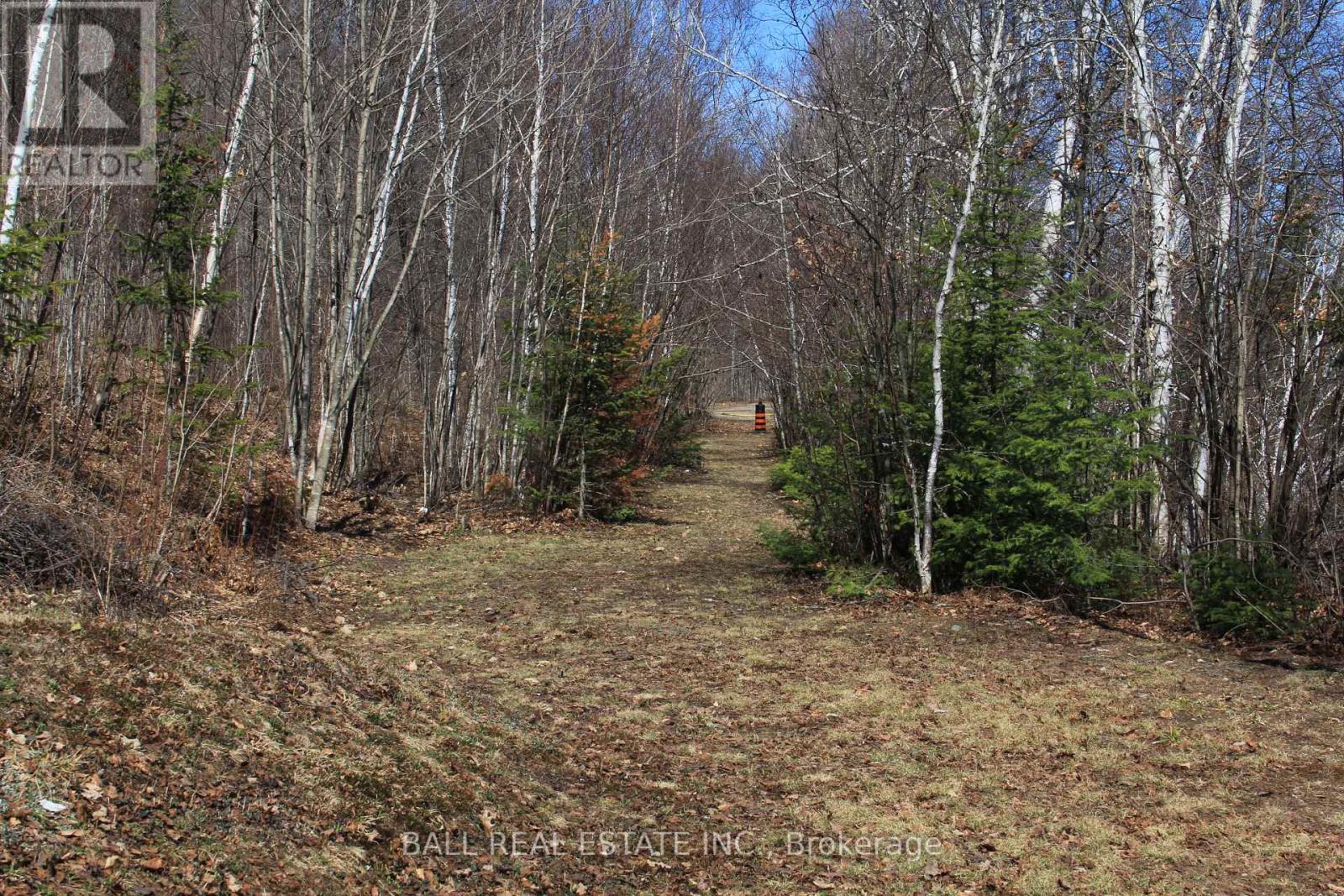 1142 Cardiff Lake Road, Highlands East, Ontario  K0L 3C0 - Photo 23 - X13102936