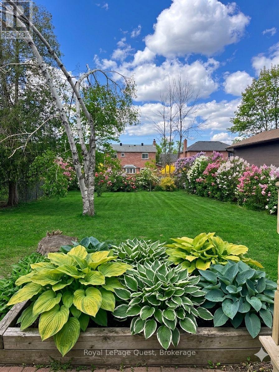 38 Adair Street, Orillia, Ontario  L3V 2X2 - Photo 35 - S13056062