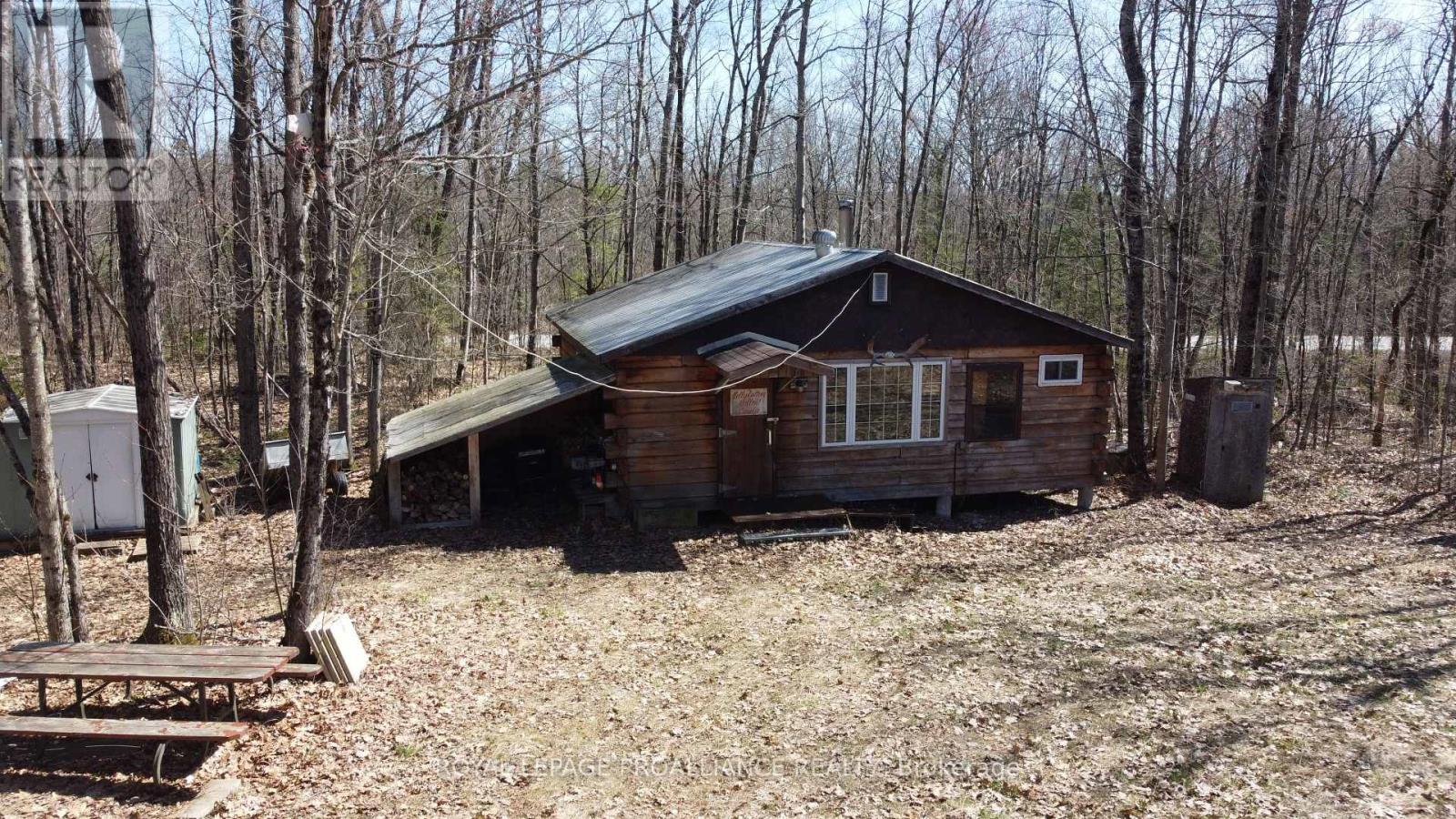 picture 1