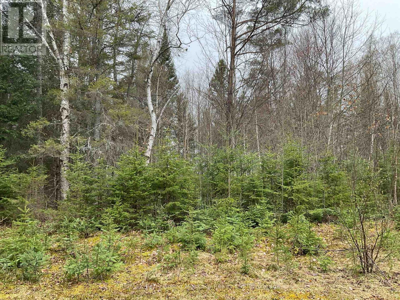 56 Legrou Lake Road, Parry Sound Remote Area, Ontario  P0H 1A0 - Photo 10 - X13108918