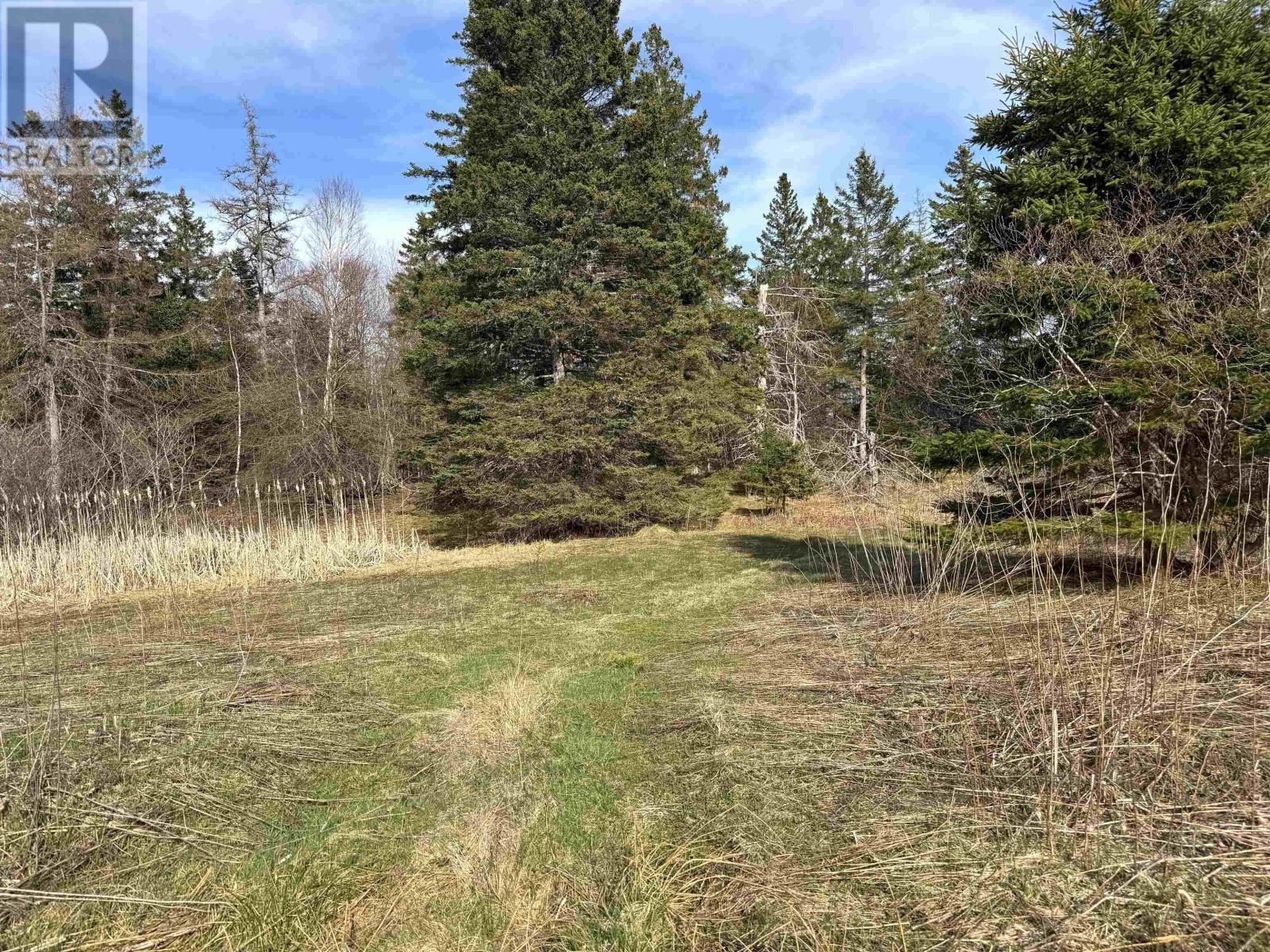 Orangedale-Iona Road, West Alba, Nova Scotia  B0E 3M0 - Photo 4 - 202610156