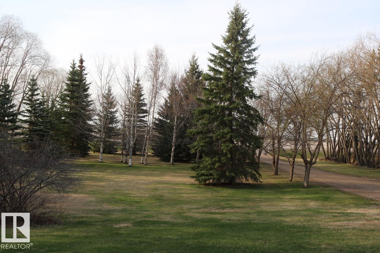 picture 49