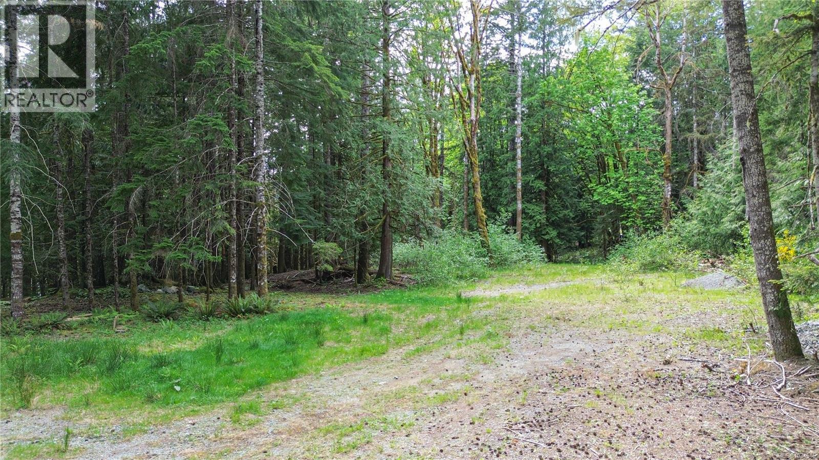 Lot A Indian Rd, Lake Cowichan, British Columbia  V0R 2G0 - Photo 10 - 1034546