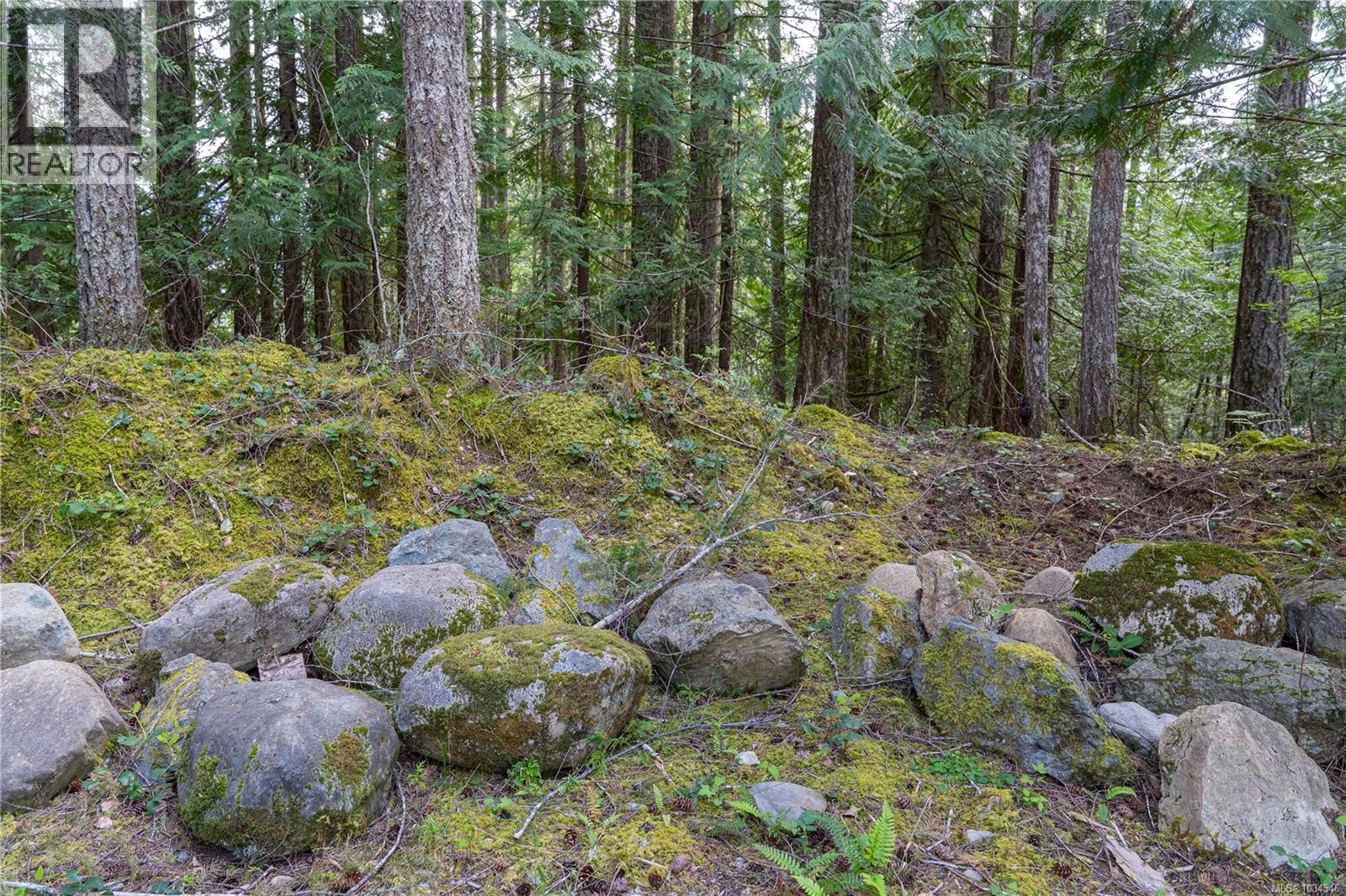 Lot A Indian Rd, Lake Cowichan, British Columbia  V0R 2G0 - Photo 11 - 1034546
