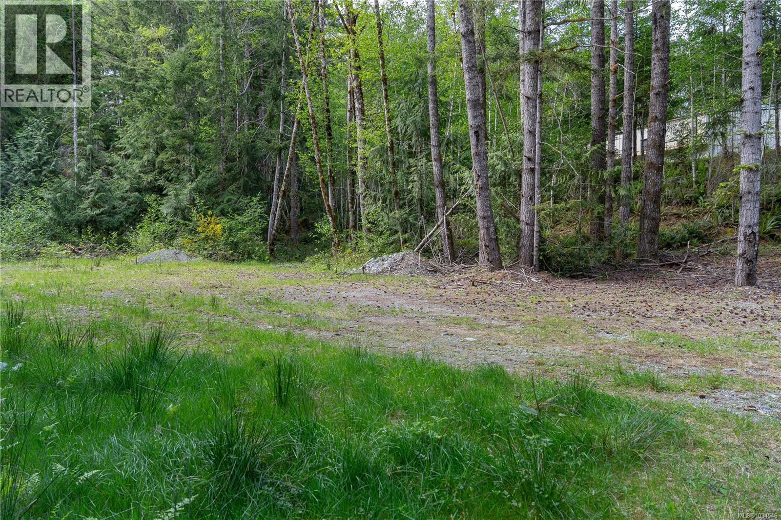 Lot A Indian Rd, Lake Cowichan, British Columbia  V0R 2G0 - Photo 12 - 1034546