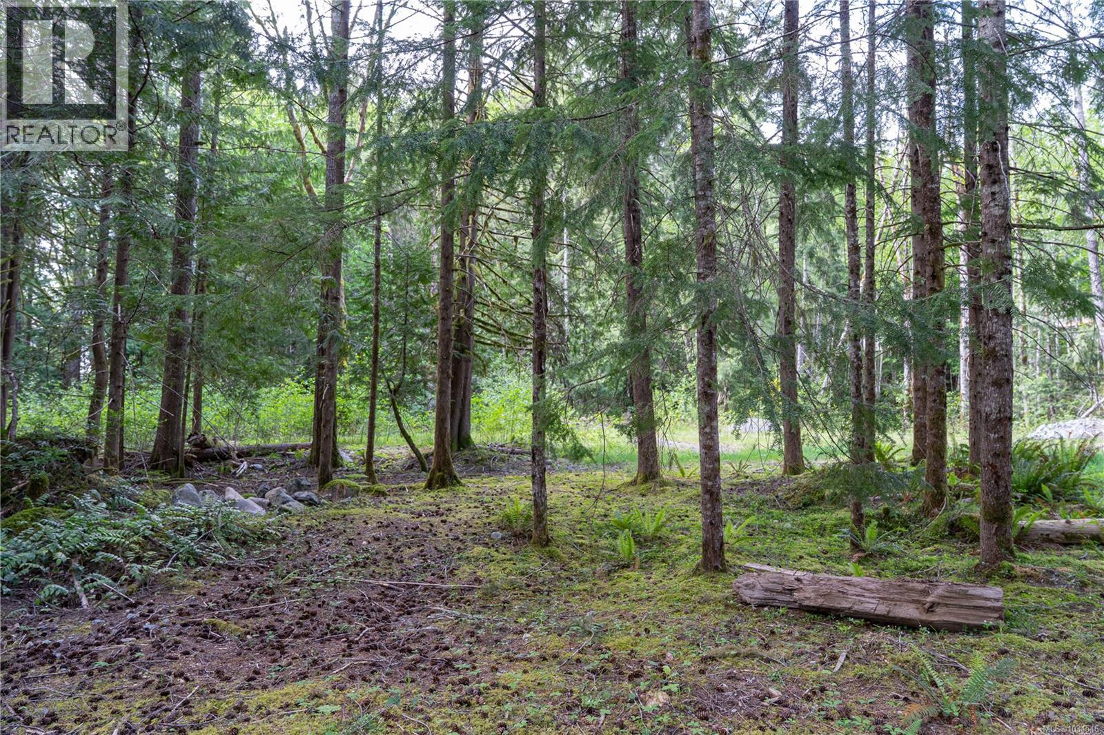 Lot A Indian Rd, Lake Cowichan, British Columbia  V0R 2G0 - Photo 3 - 1034546