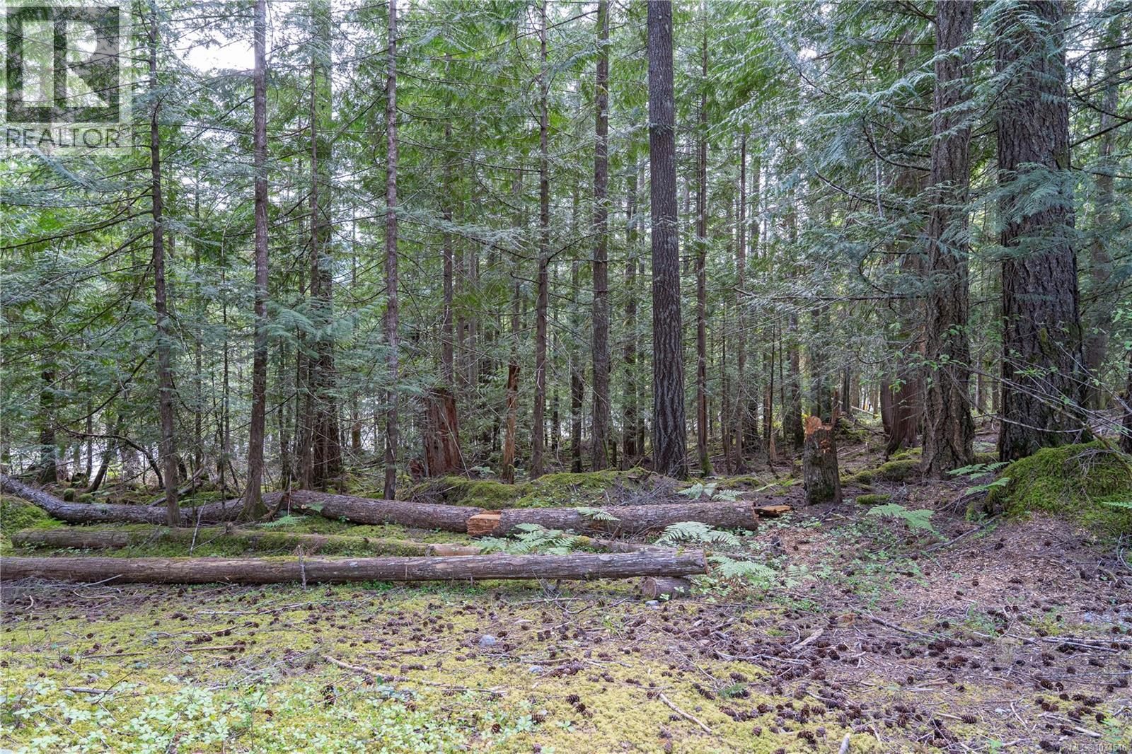 Lot A Indian Rd, Lake Cowichan, British Columbia  V0R 2G0 - Photo 4 - 1034546