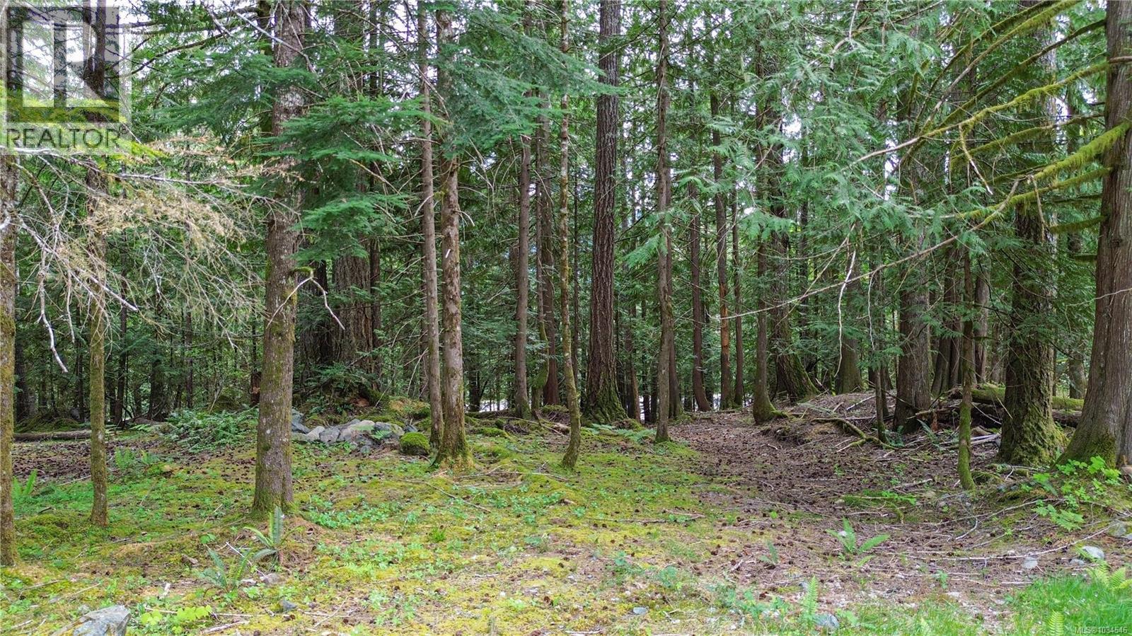 Lot A Indian Rd, Lake Cowichan, British Columbia  V0R 2G0 - Photo 5 - 1034546