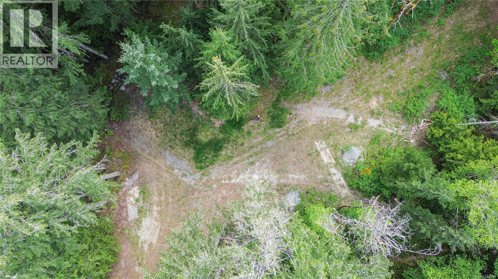 Lot A Indian Rd, Lake Cowichan, British Columbia  V0R 2G0 - Photo 9 - 1034546