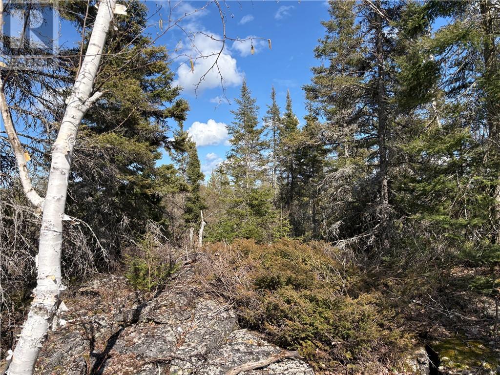 00 Pine Lake Road, Manitoulin Island, Ontario   - Photo 14 - 2127656
