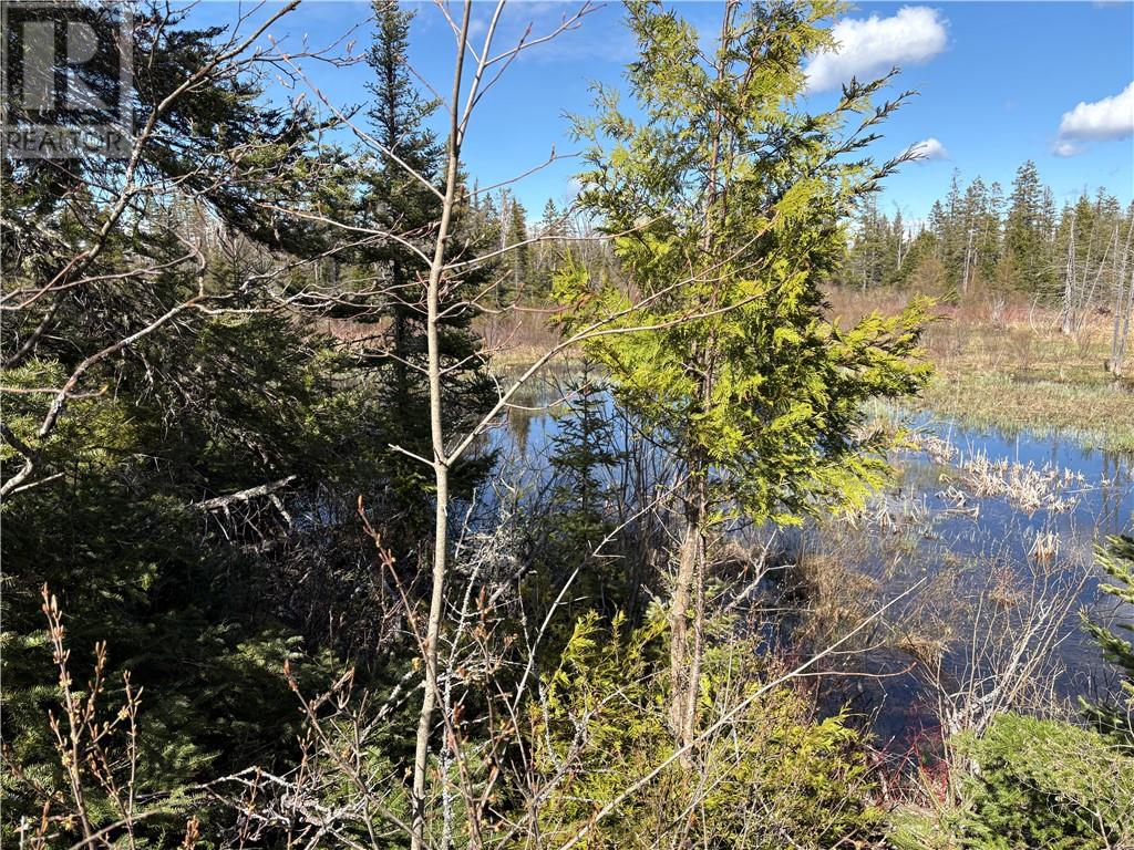 00 Pine Lake Road, Manitoulin Island, Ontario   - Photo 15 - 2127656