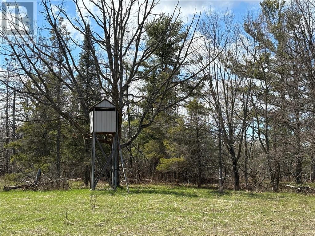 00 Pine Lake Road, Manitoulin Island, Ontario   - Photo 7 - 2127656
