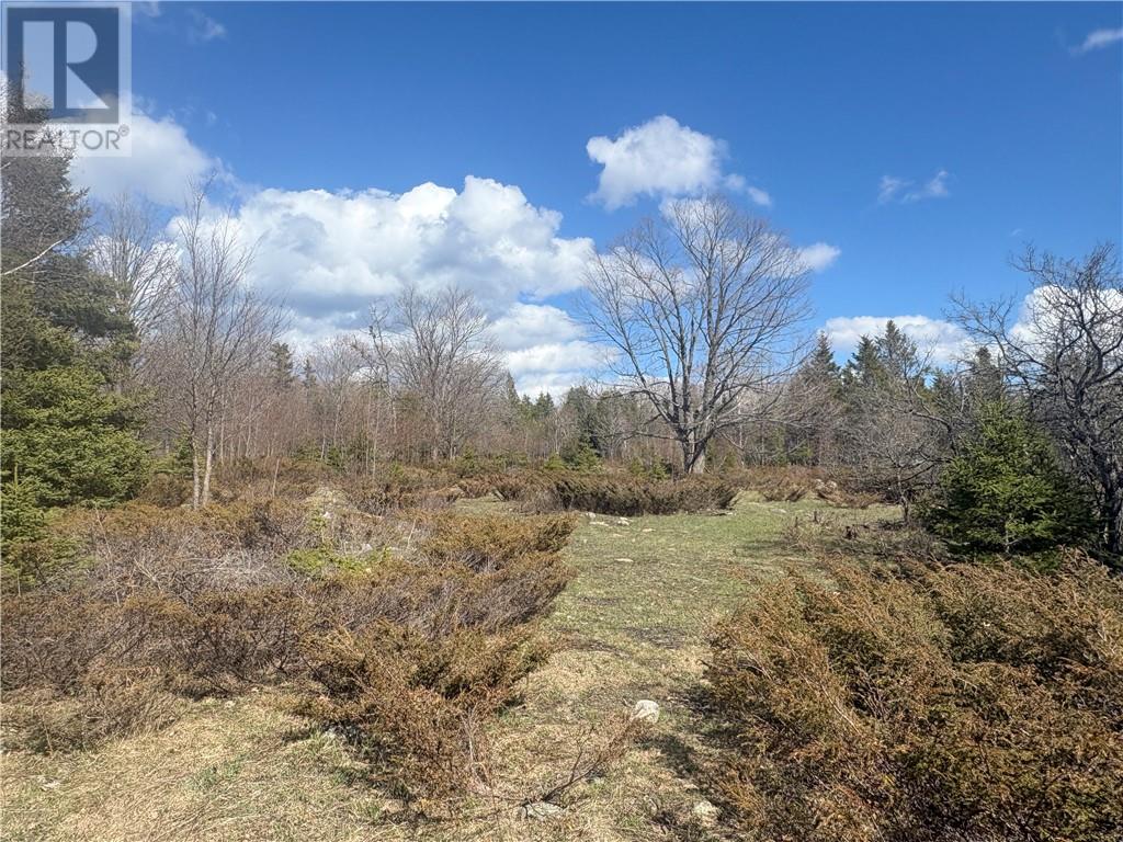 00 Pine Lake Road, Manitoulin Island, Ontario   - Photo 8 - 2127656