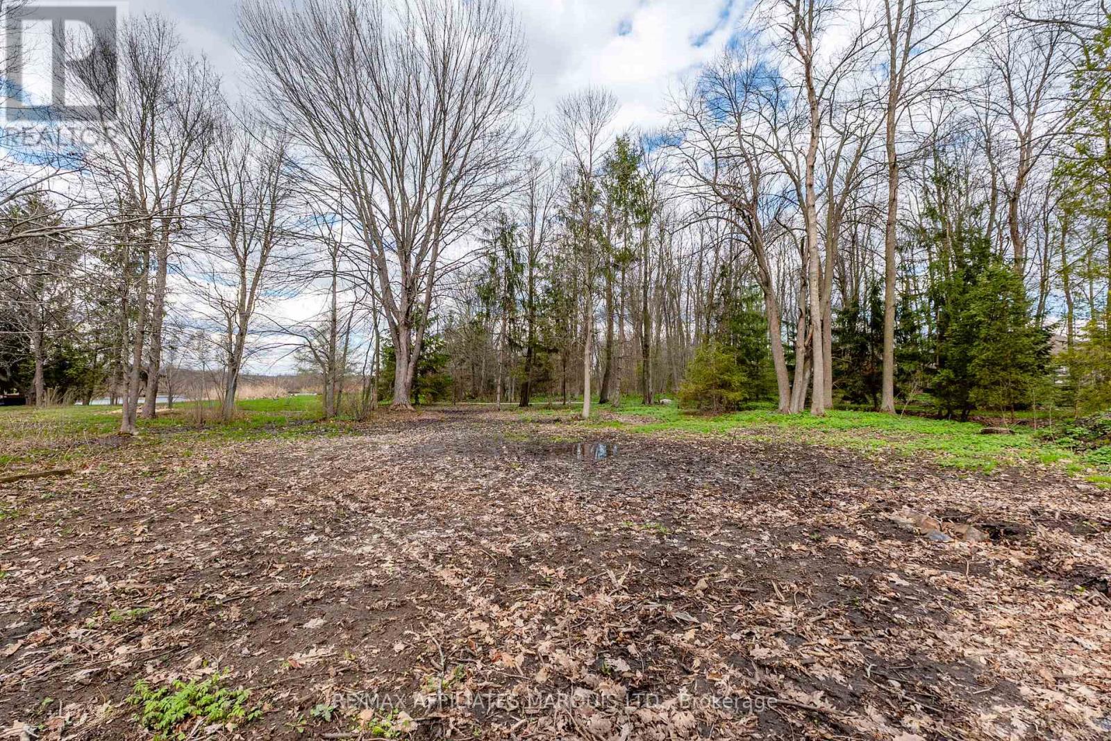 6537 Tree Haven Road, South Glengarry, Ontario  K0C 2E0 - Photo 13 - X13109304