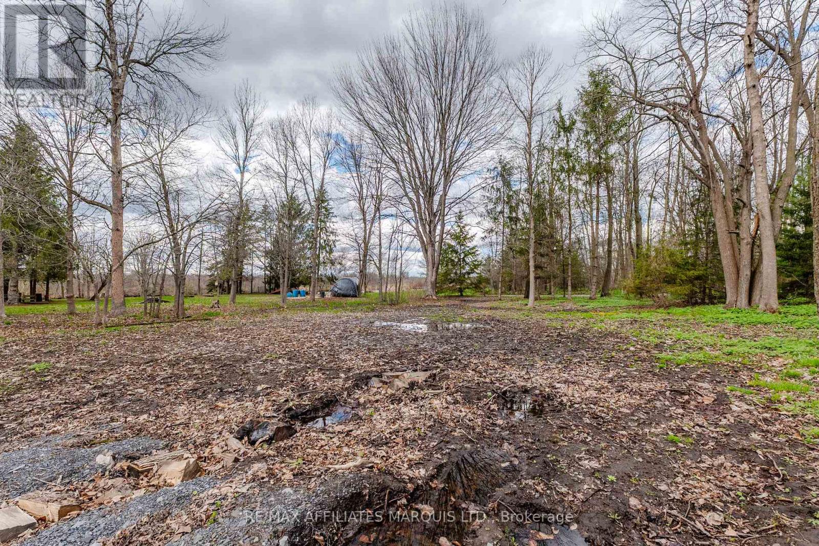 6537 Tree Haven Road, South Glengarry, Ontario  K0C 2E0 - Photo 15 - X13109304