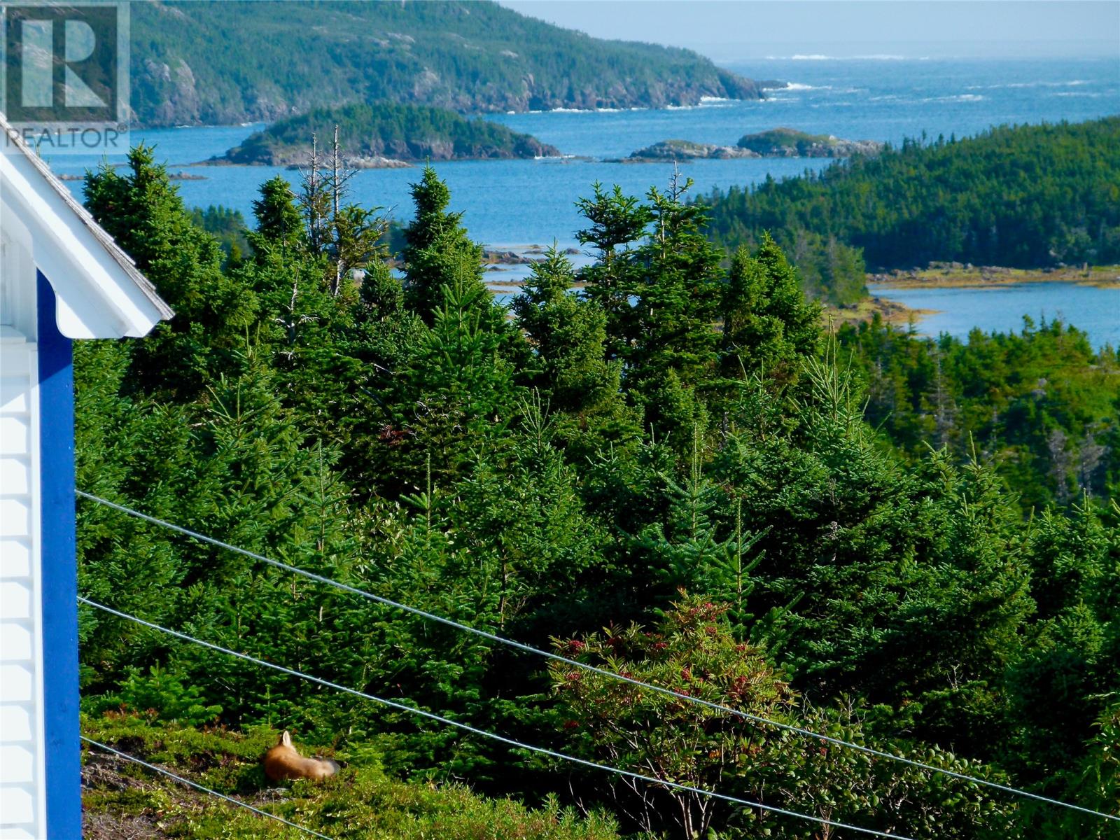 4 Green Cove Road, Herring Neck/pikes Arm, Newfoundland & Labrador  A0G 2R0 - Photo 42 - 1296533